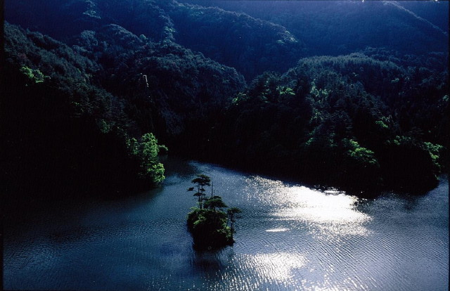 img0061.jpg