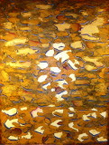 img0001.jpg