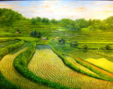 img0009.jpg