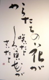 img0039.jpg