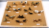 img0053.jpg