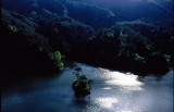 img0061.jpg